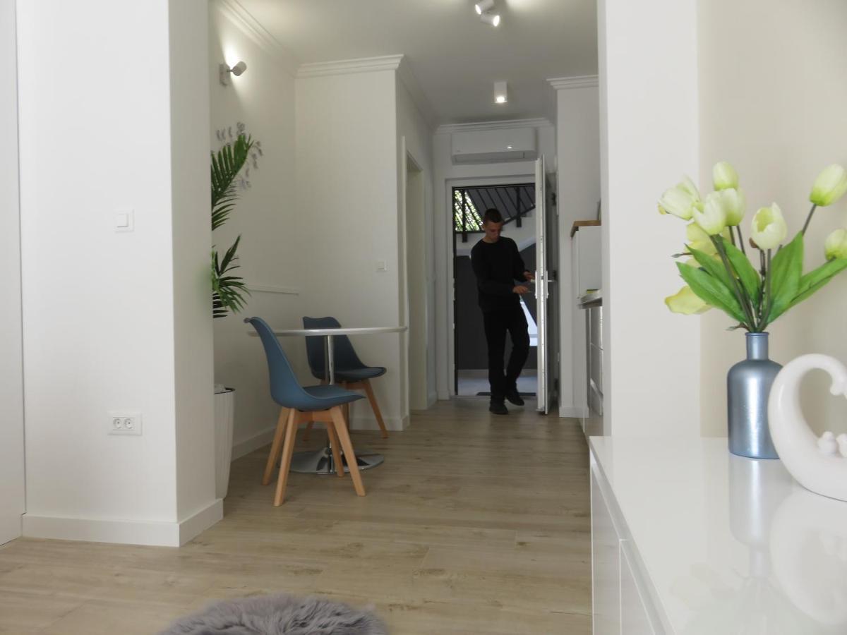 Maboka Studio Zadar Dış mekan fotoğraf