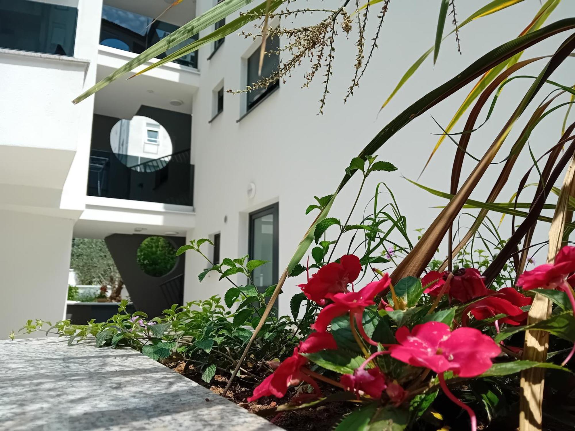 Maboka Studio Zadar Dış mekan fotoğraf