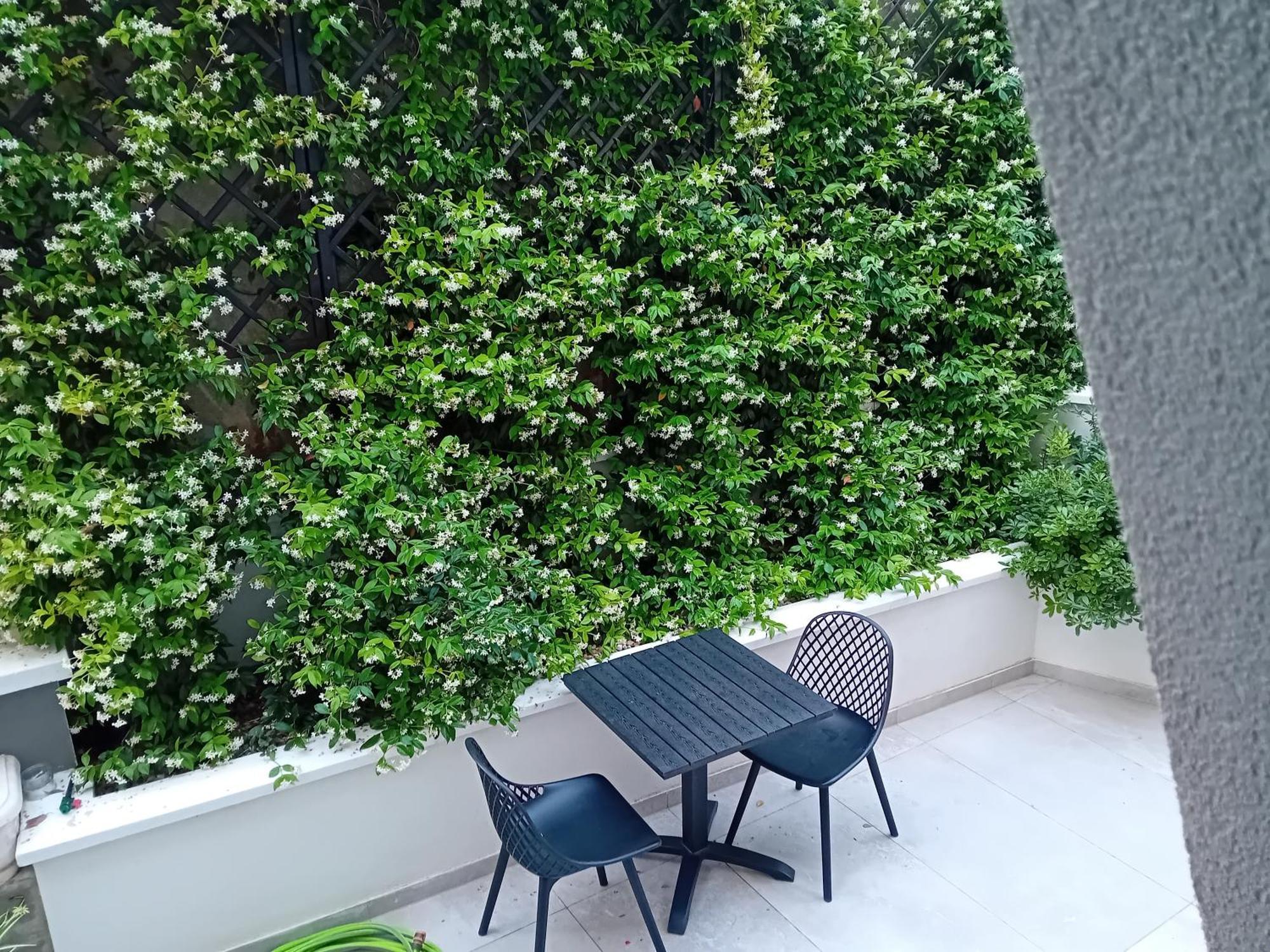 Maboka Studio Zadar Dış mekan fotoğraf